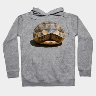 Tortoise Tucked In Vector Art Cut Out Hoodie